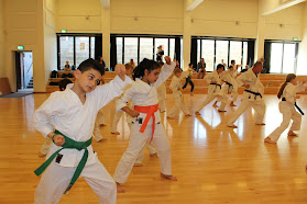 Kami Karate Academy