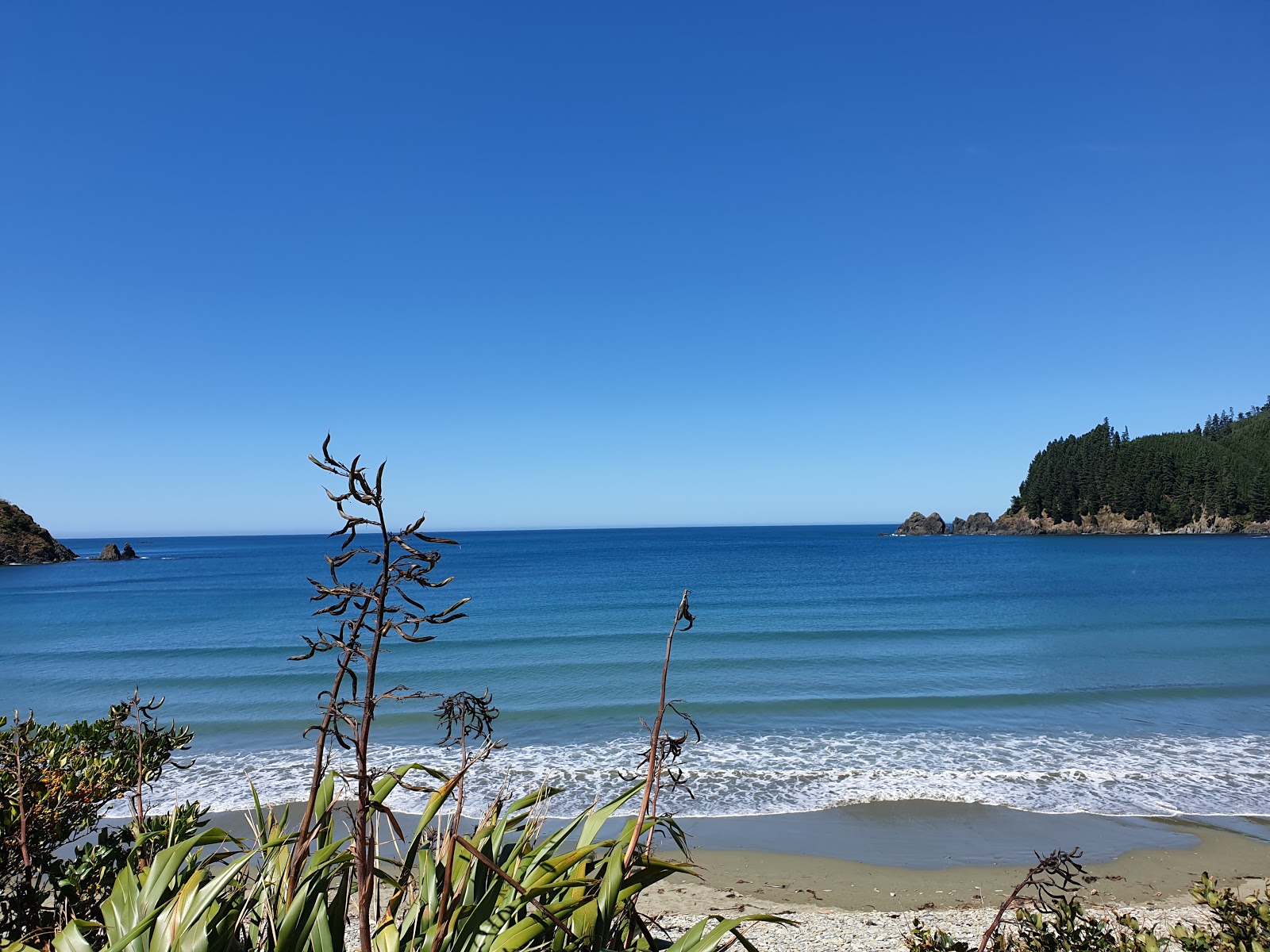 Φωτογραφία του Robin Hood Bay άγρια περιοχή