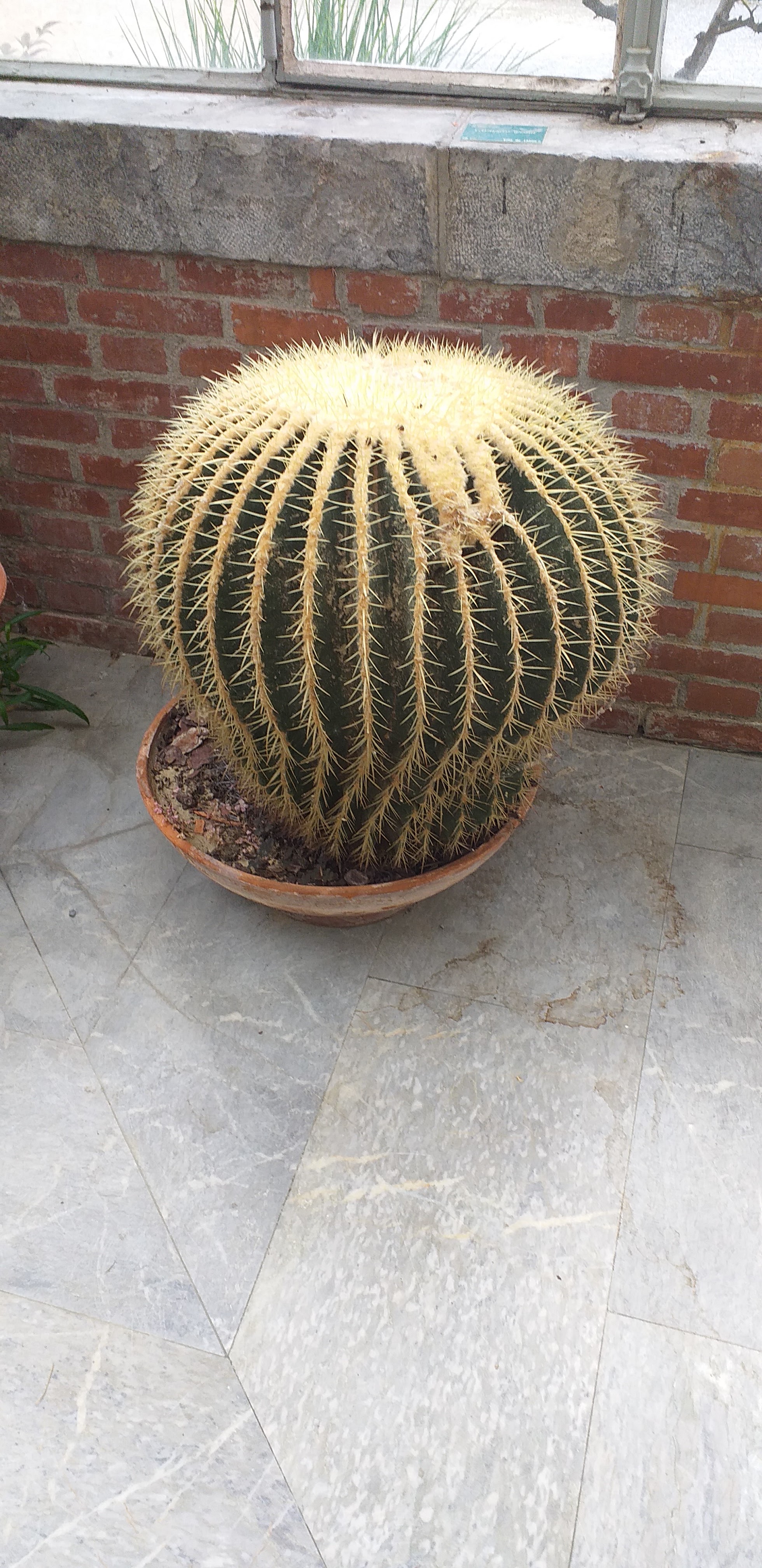 Photo n° 6 de l'avis de Jerome.l fait le 22/04/2019 à 15:06