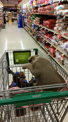 Grocery Store «Giant Food Stores», reviews and photos, 1600 Nay Aug Ave, Scranton, PA 18509, USA