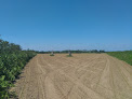 Alignement de Saint-Denec Porspoder