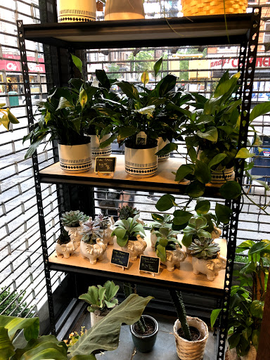 Florist «Avenue J Florist», reviews and photos, 1502 Avenue J, Brooklyn, NY 11230, USA