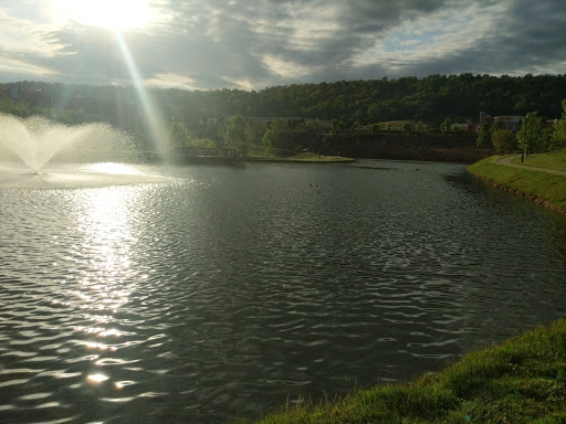 Sporting Goods Store «Bass Pro Shops», reviews and photos, 1 Bass Pro Dr, Bristol, TN 37621, USA