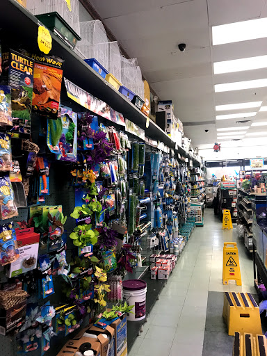 Pet Supply Store «Petland Discounts - Jamaica», reviews and photos, 17133 Hillside Avenue, Jamaica, NY 11432, USA