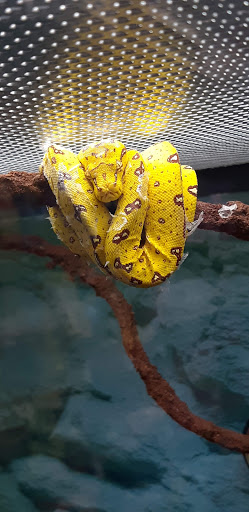 Pet Supply Store «Petco Animal Supplies», reviews and photos, 200 McMahan Blvd, Marion, OH 43302, USA