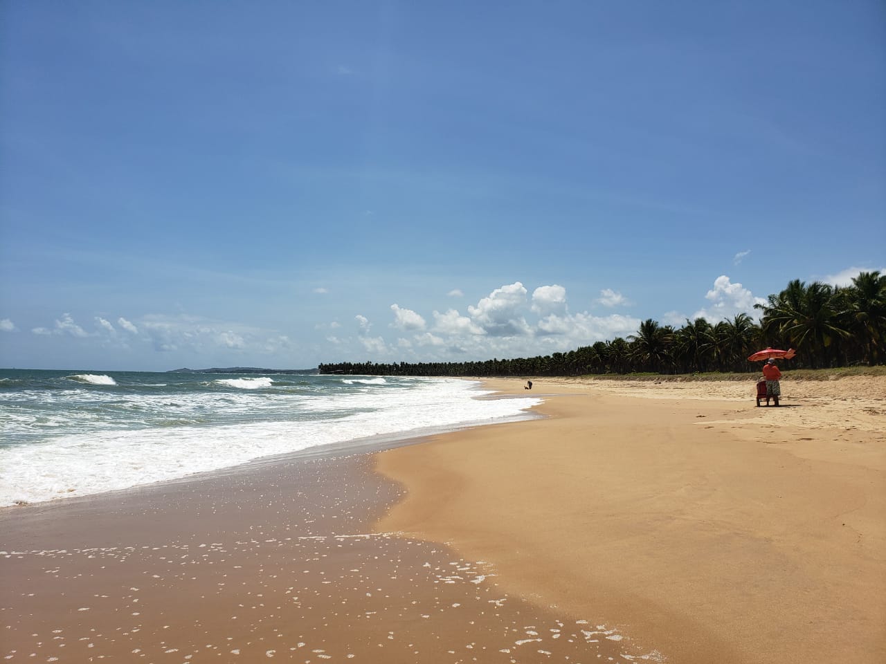 Foto de Praia de Gaibu com areia fina e brilhante superfície
