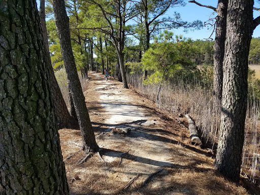 Golf Club «Peninsula Golf & Country Club», reviews and photos, 32981 Peninsula Esplanade, Millsboro, DE 19966, USA