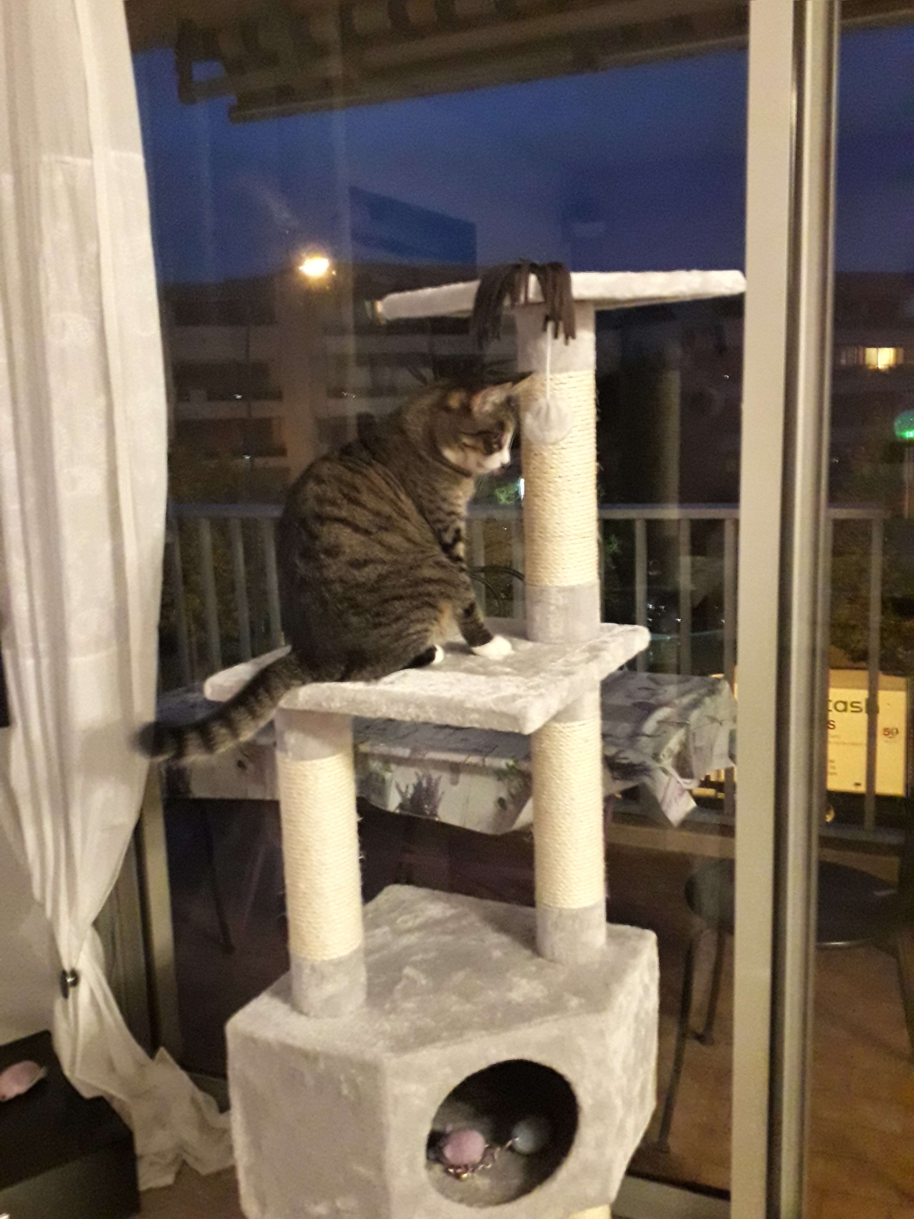 Photo n° 1 de l'avis de Agnès.a fait le 22/09/2019 à 22:17