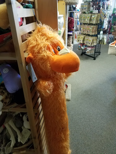 Pet Supply Store «Perks 4 Pets», reviews and photos, 7228 Manatee Ave W, Bradenton, FL 34209, USA