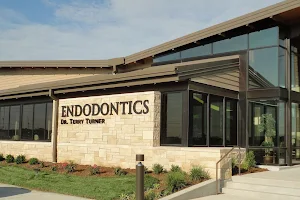 Professional Endodontics image