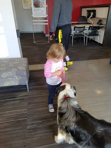 Auto Insurance Agency «AAA Eureka», reviews and photos