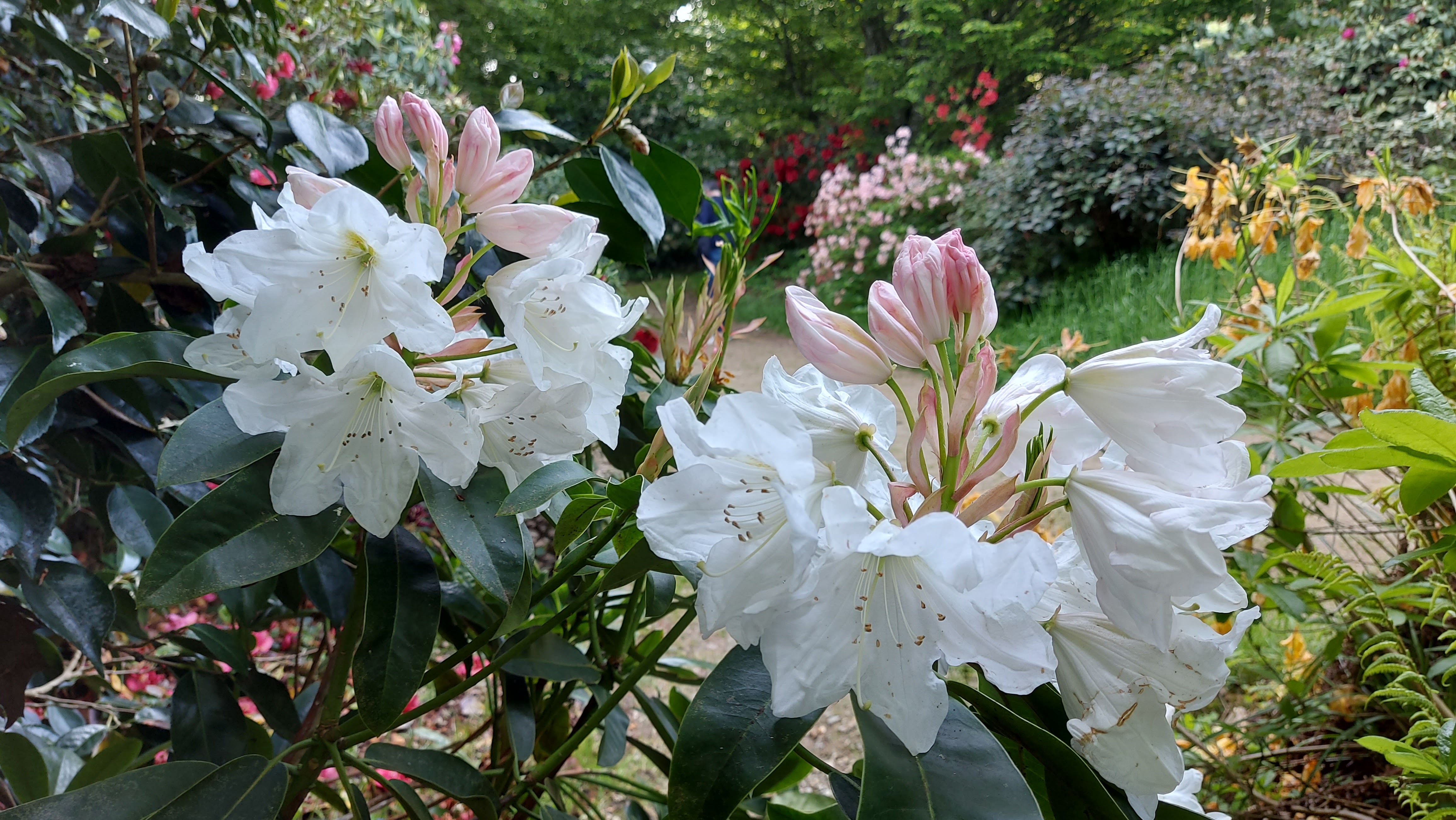 Photo n° 12 de l'avis de Didier.a fait le 06/06/2023 à 17:09