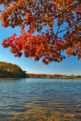 State Park «Cheesequake State Park», reviews and photos, 300 Gordon Rd, Matawan, NJ 07747, USA