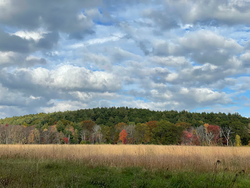National Reserve «Assabet River National Wildlife Refuge», reviews and photos, 680 Hudson Road, Sudbury, MA 01776, USA