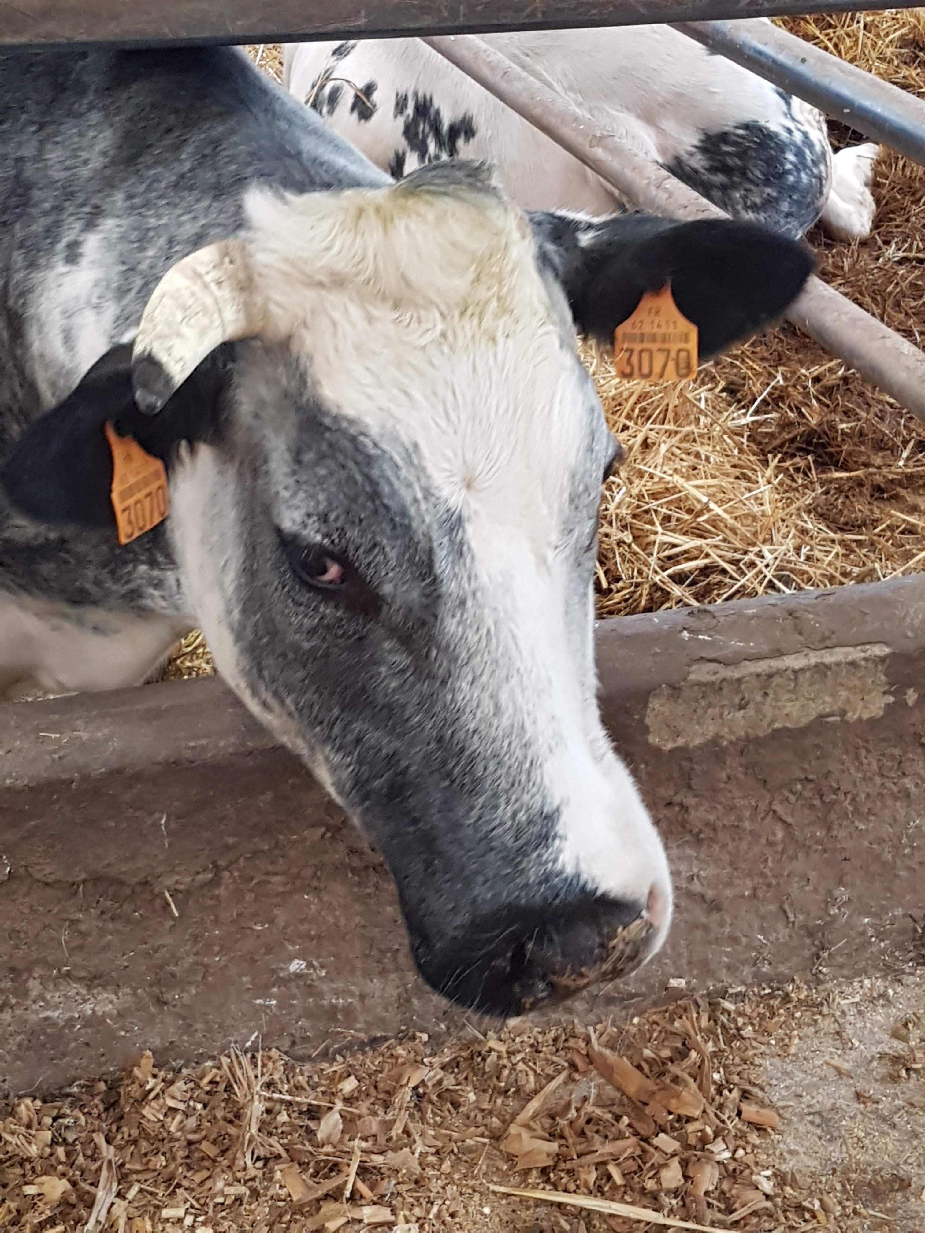 Photo n° 8 de l'avis de Alicia.P fait le 28/04/2019 à 13:27