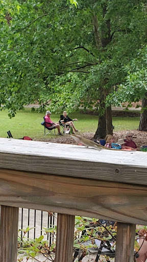 Vineyard «La Belle Amie Vineyard», reviews and photos, 1120 St Joseph Rd, Little River, SC 29566, USA