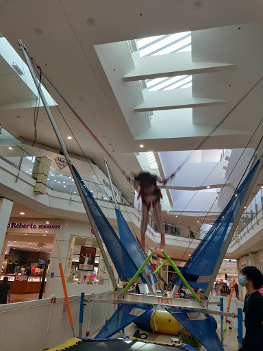 The Shops at Palm Desert image