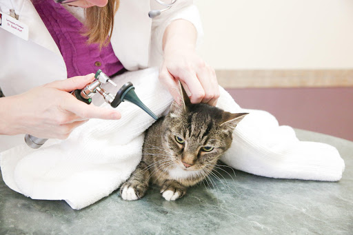 Cat & Dog Hospital of Portland