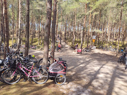 Slayshevo Beach'in fotoğrafı - rahatlamayı sevenler arasında popüler bir yer