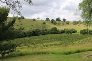 Hunter Valley Private Tours image