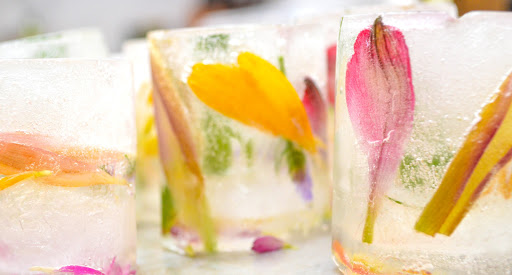 Caterer «CaterMasters Inc», reviews and photos, 125 Airport Pulling Rd N #101A, Naples, FL 34104, USA