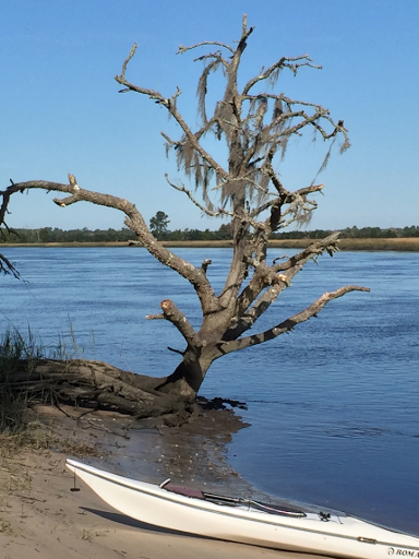 Canoe & Kayak Tour Agency «Sea Kayak Carolina», reviews and photos, 118 May Ln, Mt Pleasant, SC 29464, USA