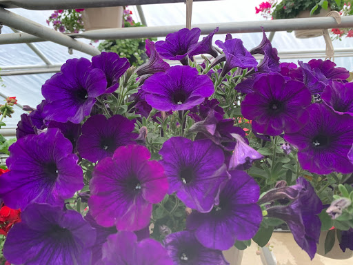 Pet Supply Store «Saybrook Feed & Garden», reviews and photos, 8023 Depot Rd, Ashtabula, OH 44004, USA