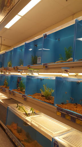 Pet Supply Store «PetSmart», reviews and photos, 13337 Worth Ave, Woodbridge, VA 22192, USA