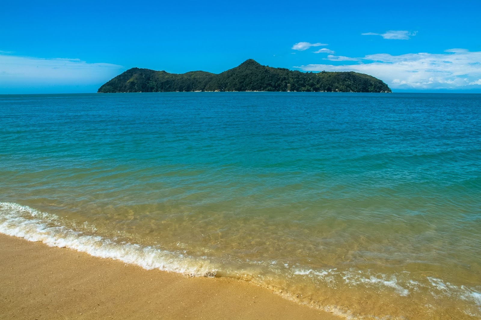 Photo de Ngaio Bay Beach avec un niveau de propreté de très propre