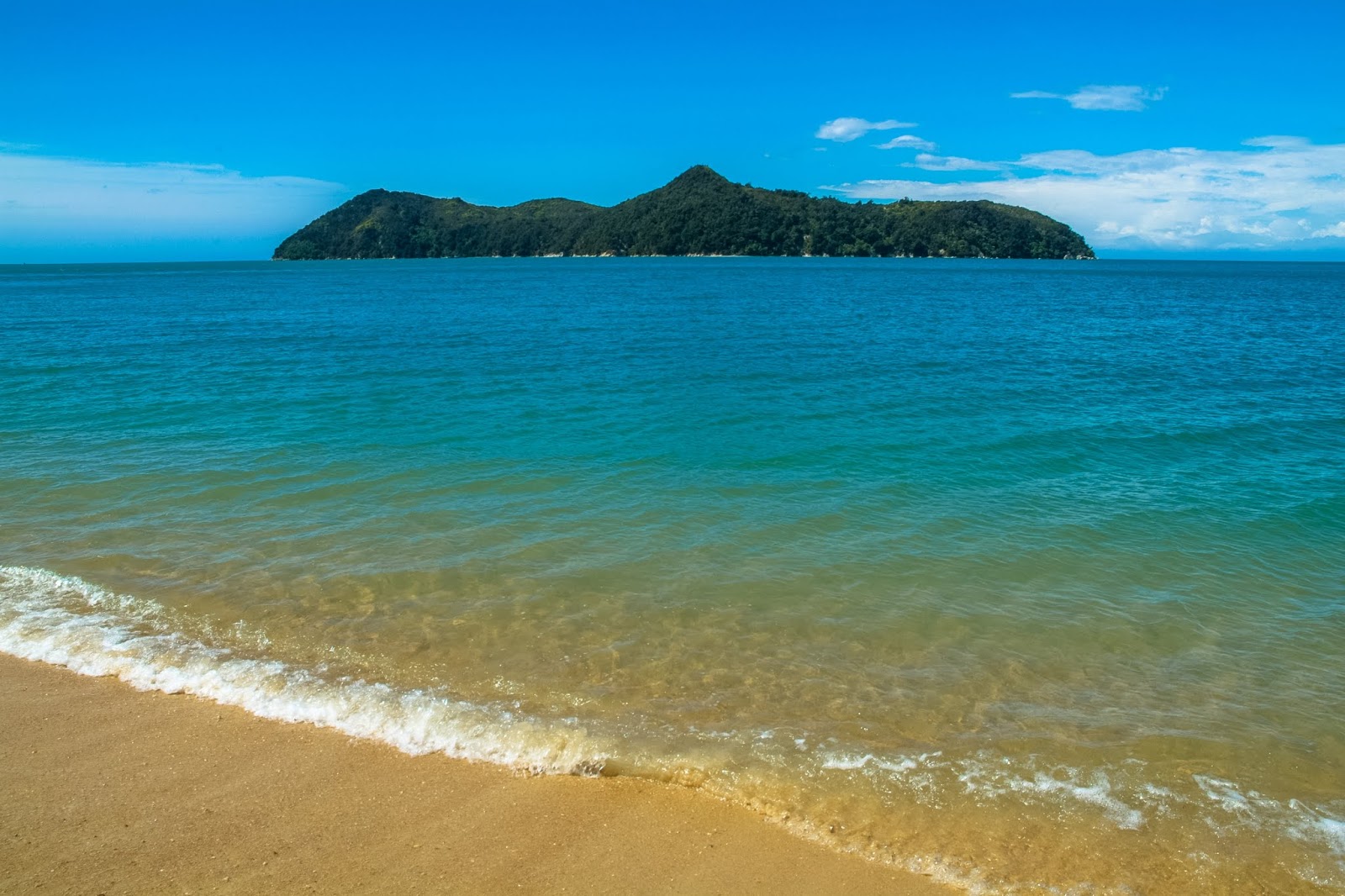 Foto de Ngaio Bay Beach con playa amplia