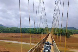 Hanging Bridge image