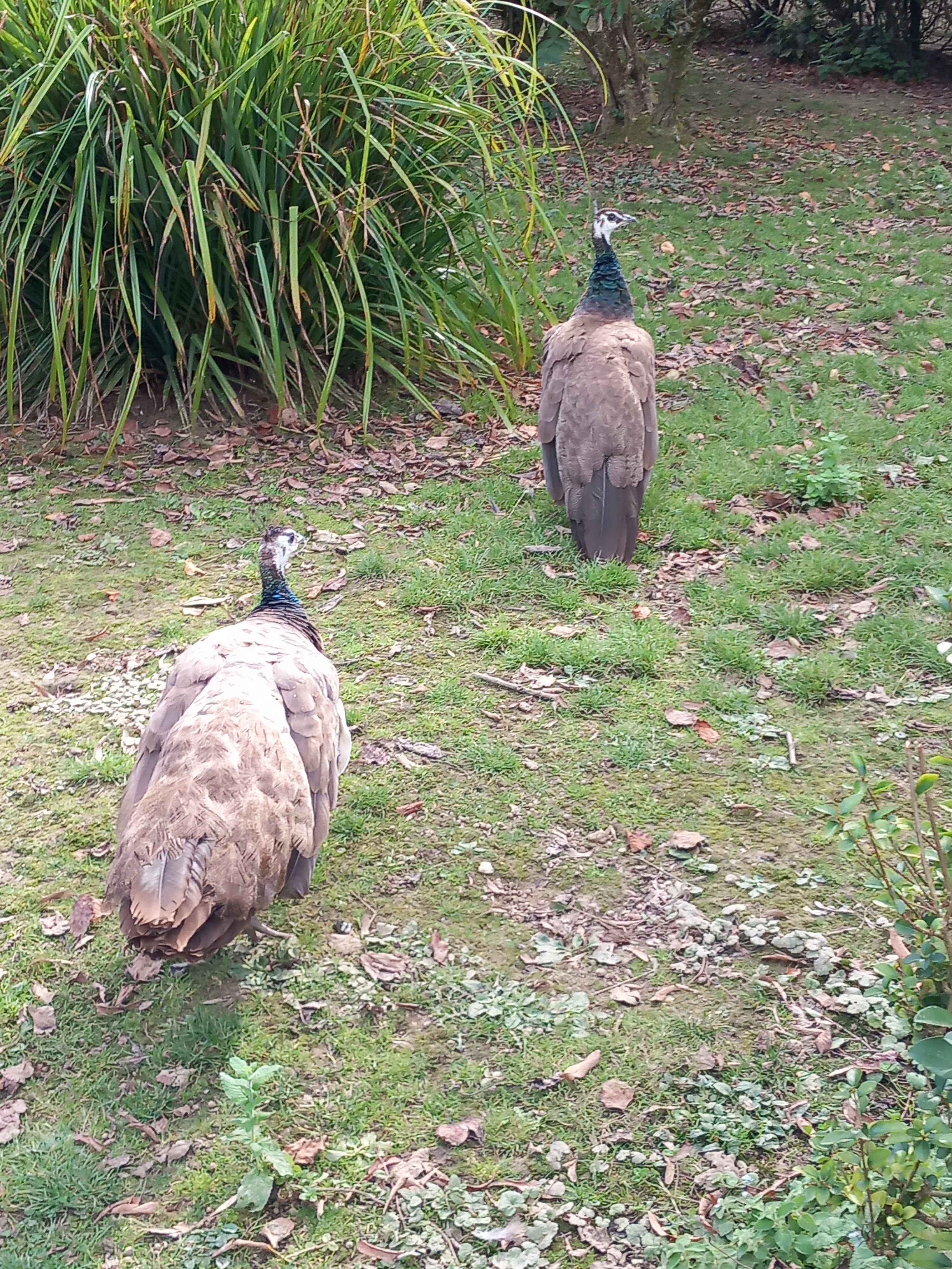 Photo n° 39 de l'avis de Julien.a fait le 11/10/2023 à 18:47