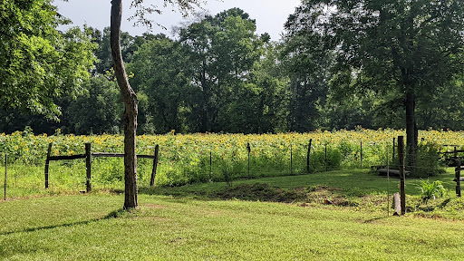 Farm «Pettit Creek Farms», reviews and photos, 337 Cassville Rd, Cartersville, GA 30120, USA