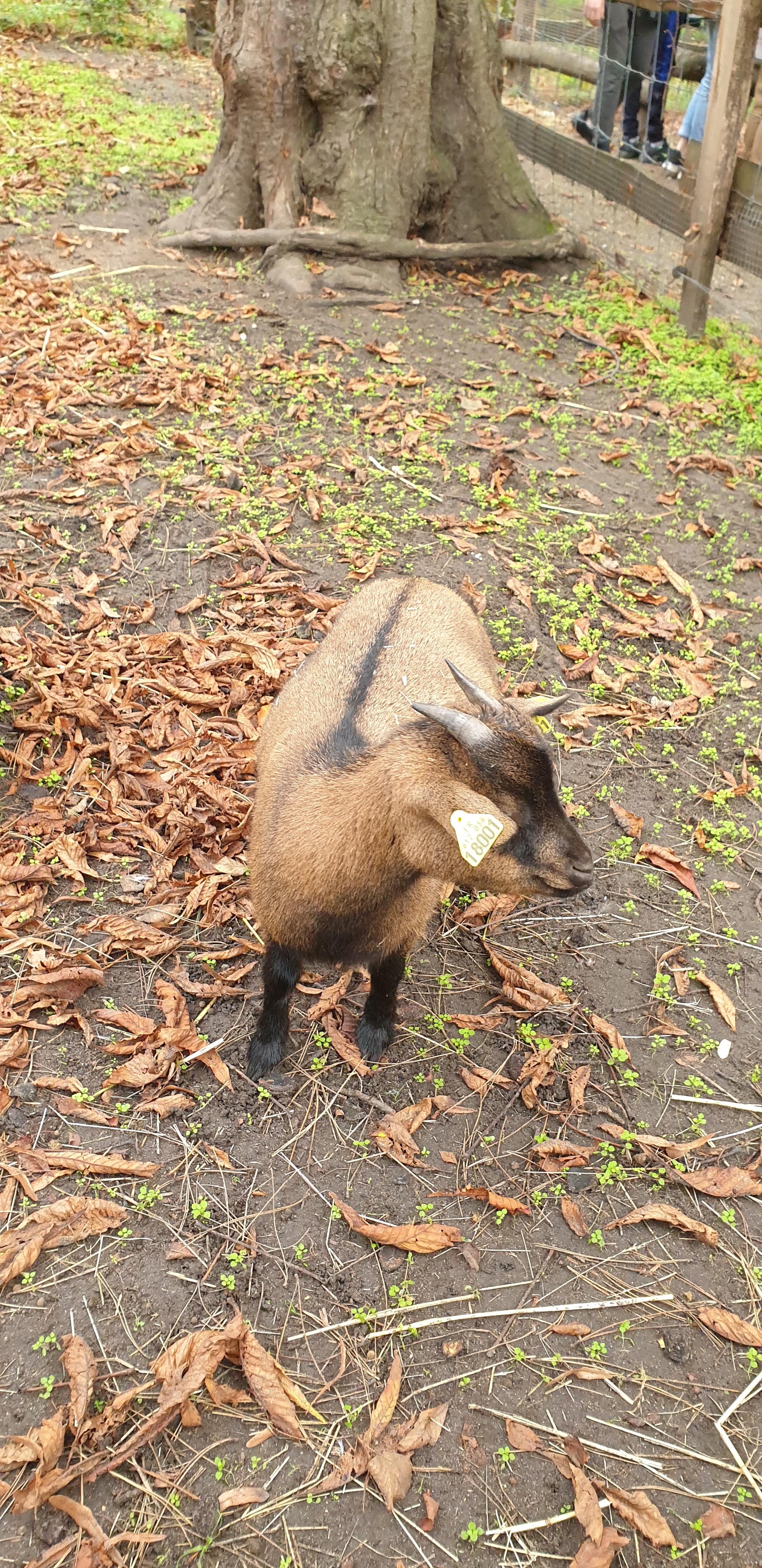 Photo n° 35 de l'avis de Julien.' fait le 23/10/2019 à 14:35