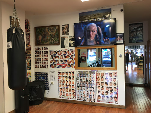 Barber Shop «Barbershop», reviews and photos, 1321 Avenue Z, Brooklyn, NY 11235, USA