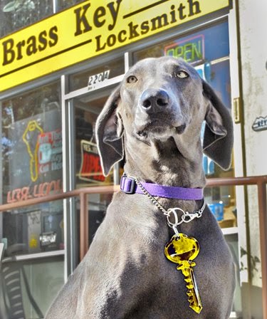 Brass Key Locksmith image