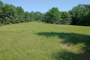 Shepard's Farm Preserve image