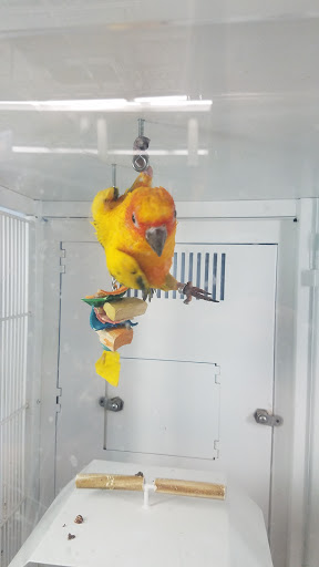 Pet Supply Store «Petco Animal Supplies», reviews and photos, 825 Hartford Turnpike, Waterford, CT 06385, USA