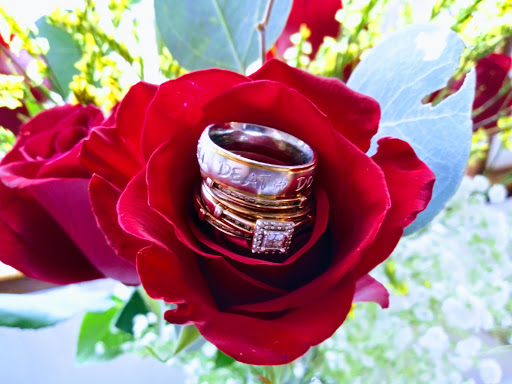 Cruise Agency «Belle of Louisville», reviews and photos, 401 W River Rd, Louisville, KY 40202, USA