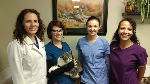 Cats on Broadway Veterinary Hospital image