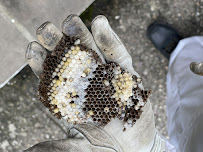 Ehrlich Pest Control - Photo 8 - Car repair in Franklin Lakes, NJ, Paterson