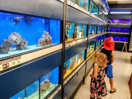 Shopping Mall «Colonial Plaza Mall», reviews and photos, 601 N Bumby Ave, Orlando, FL 32803, USA