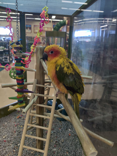 Pet Supply Store «Petco Animal Supplies», reviews and photos, 390 Universal Dr N, North Haven, CT 06473, USA