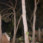 Photo n°2 de l'avis de Alessandro.r fait le 18/06/2016 à 19:17 sur le  HOTEL Eden Park à Marina di Pulsano