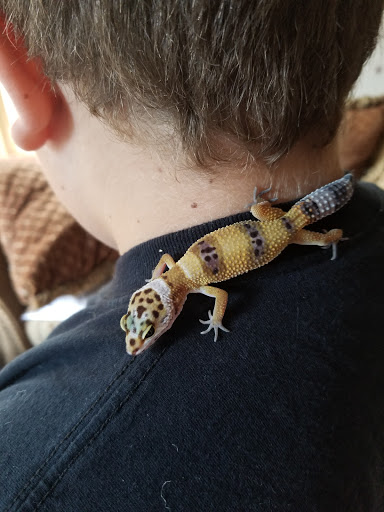 Pet Supply Store «Pet Supplies Plus», reviews and photos, 625 Southern Artery, Quincy, MA 02169, USA