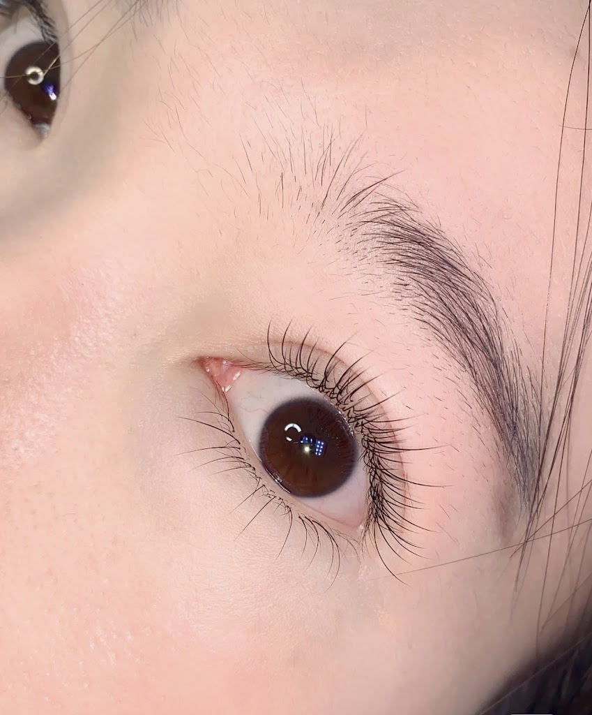 Dreamlash studio 94015