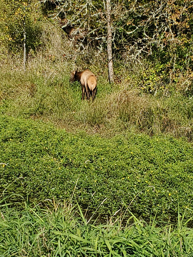 Golf Course «Mint Valley Golf Course», reviews and photos, 4002 Pennsylvania St, Longview, WA 98632, USA