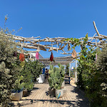 Photo n°1 de l'avis de Adriano.e fait le 11/08/2022 à 10:31 sur le  Cala Cerasa à Monopoli