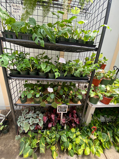 Florist «Plant Safari», reviews and photos, 653 N Central Ave, Upland, CA 91786, USA