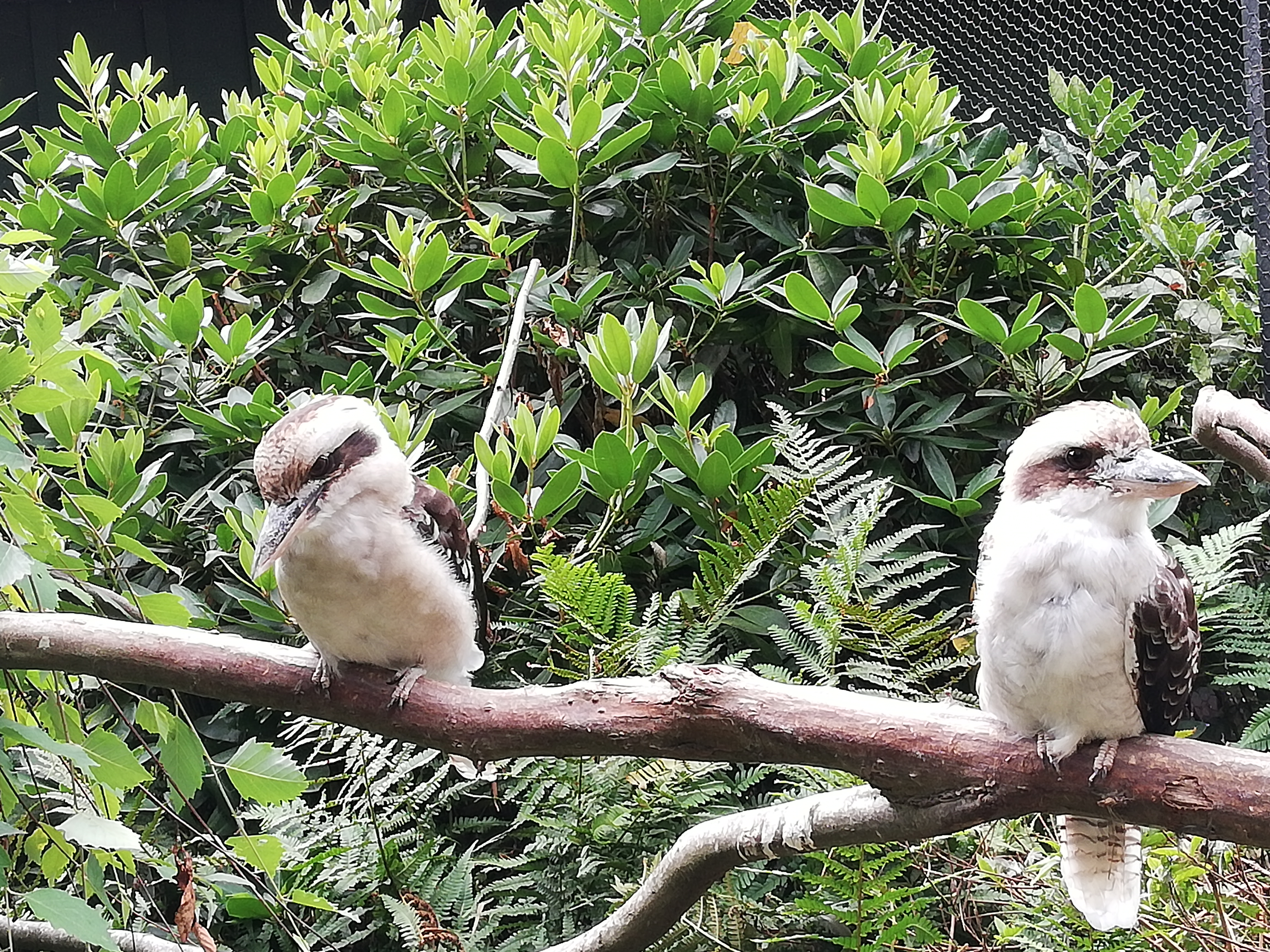 Photo n° 2 de l'avis de Emilie.i fait le 13/08/2020 à 15:47